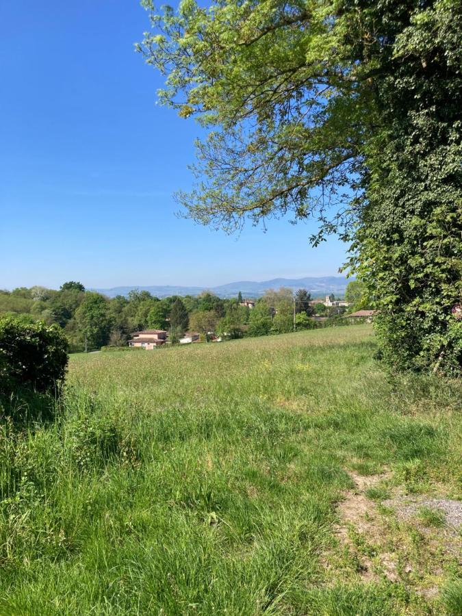 Studio Cosy En Pleine Campagne Messimy-sur-Saone Экстерьер фото